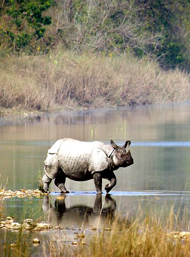 6 Days Nepal Tour Package from Gorakhpur